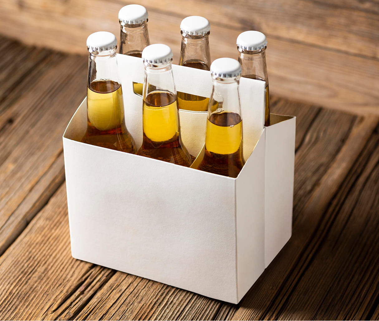 Pack 6 cervezas artesanas